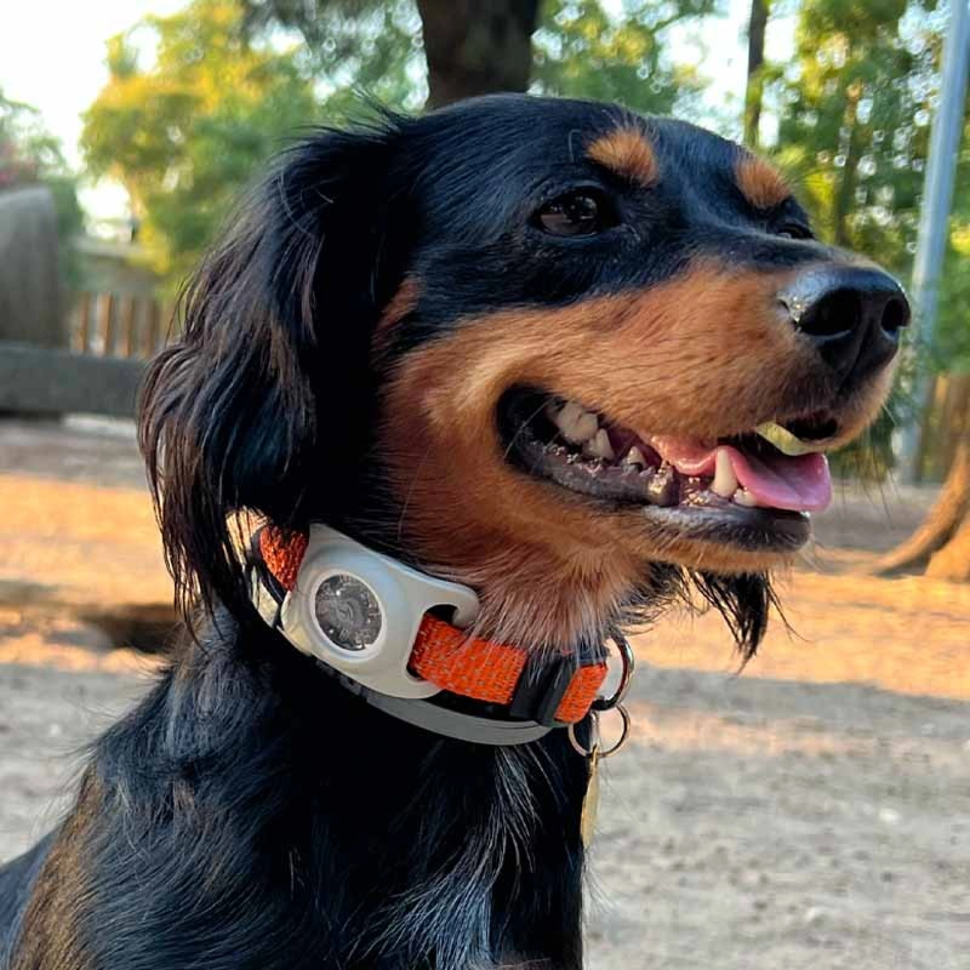 Funda AirTag per a Collar