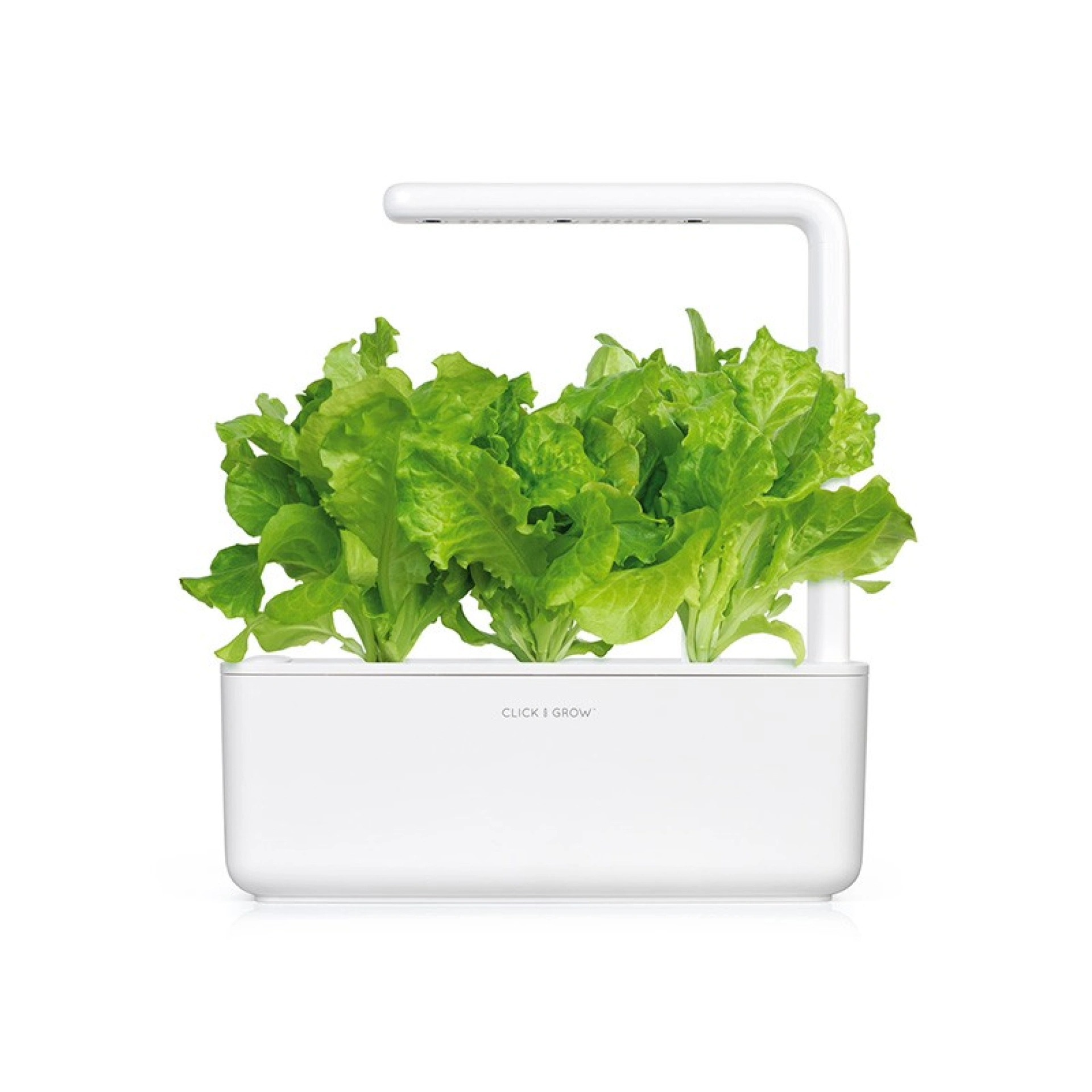 Cápsulas de Semillas Click and Grow