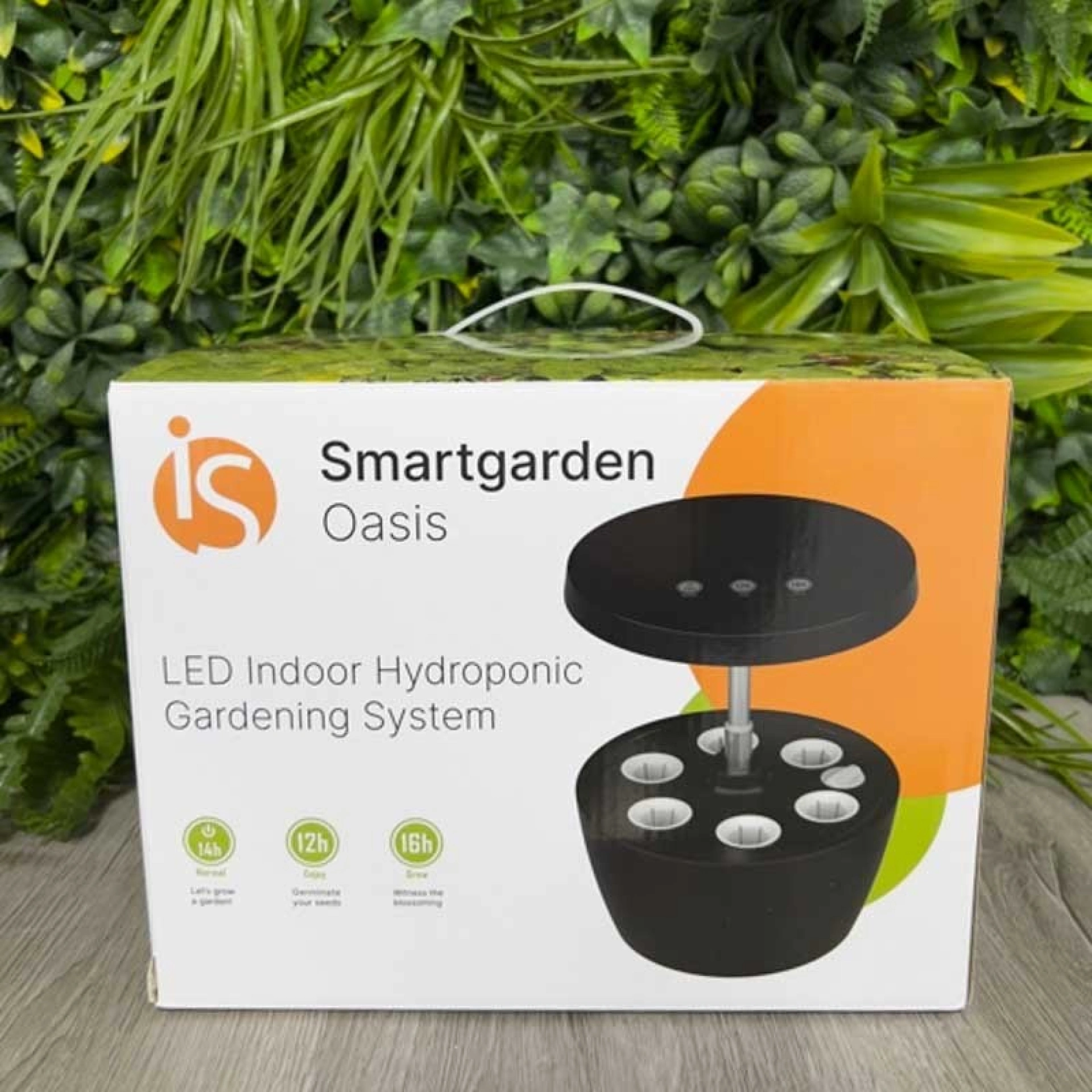Horta Urbana Oasis