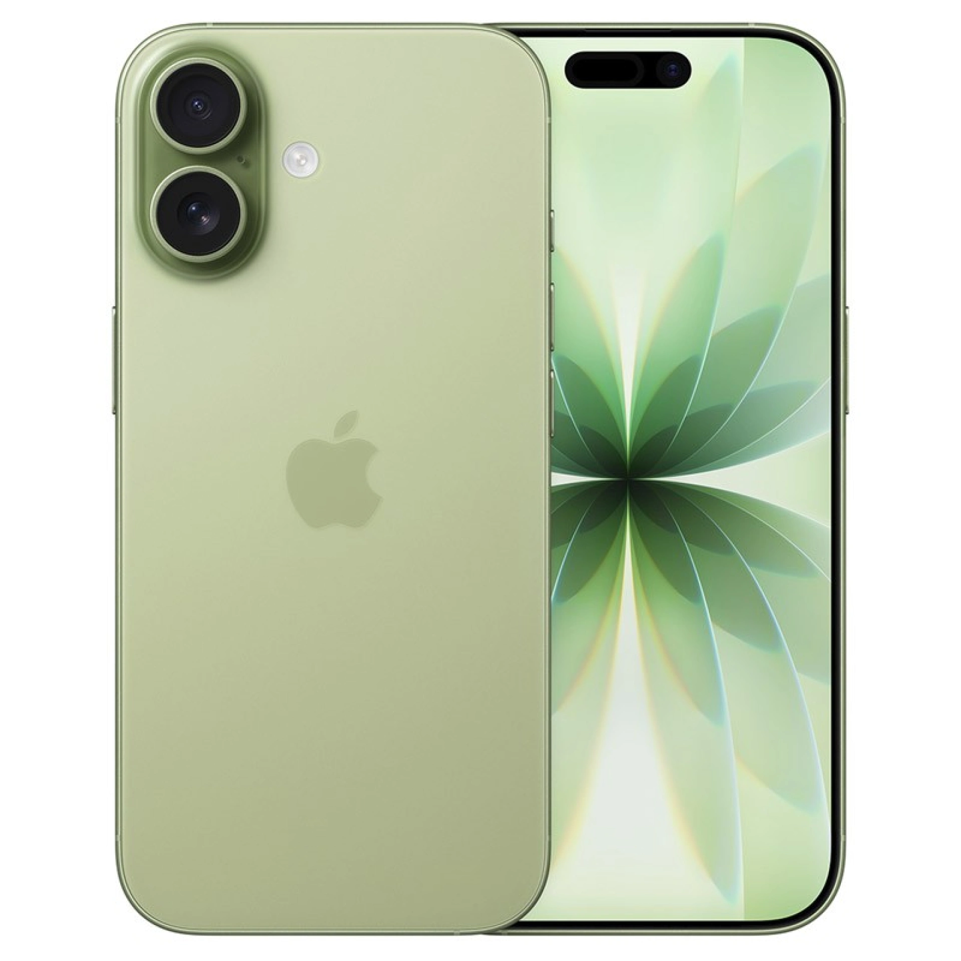 iPhone 17 256 GB Excelente Verde salvia