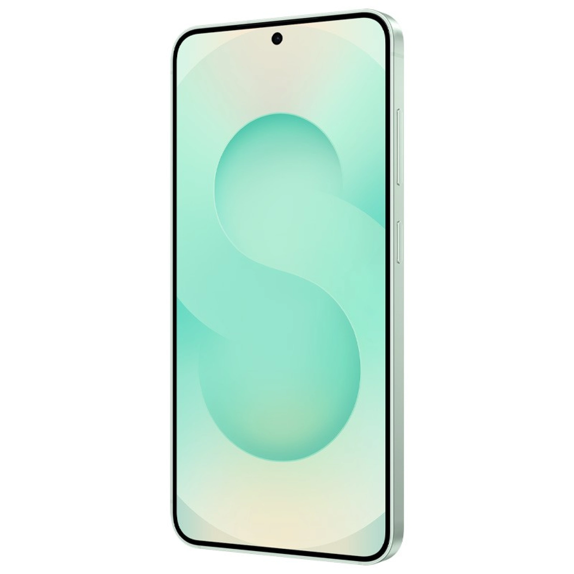 Samsung S25