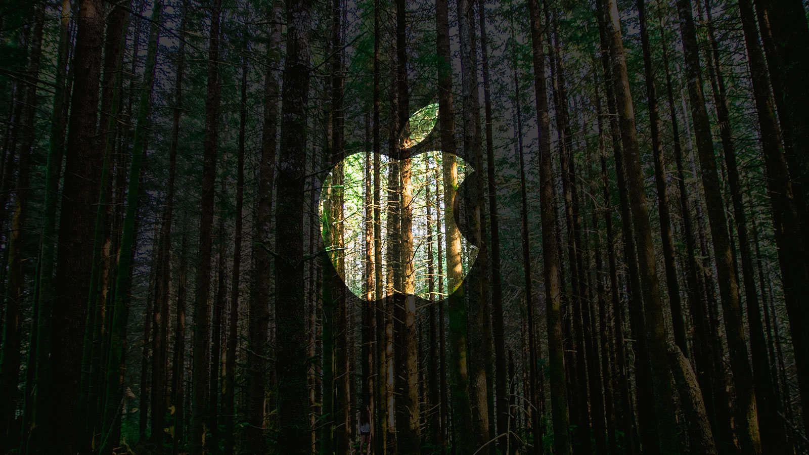 ¿IPhones hechos con material reciclado?