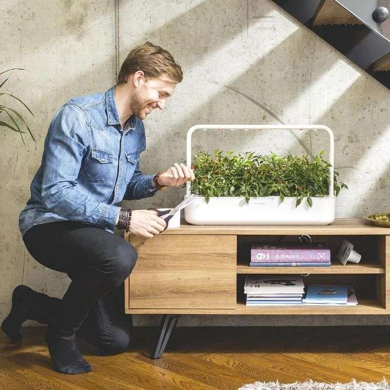 ¿Ya conoces Click and Grow Smart Gardens?