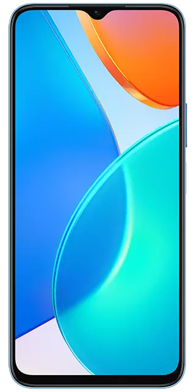 Honor X6